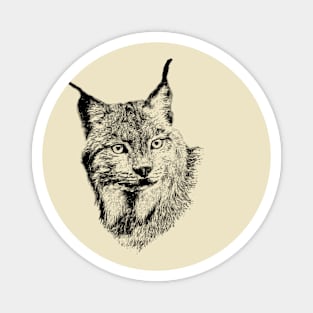 Lynx portrait Magnet